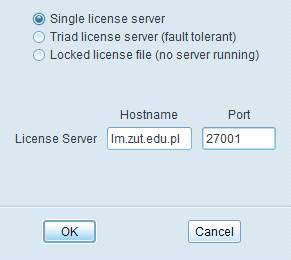 Wskazujemy Single license server