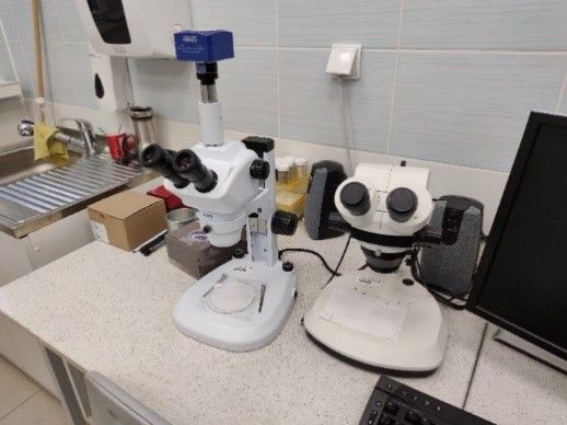 Mikroskopy